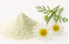 Apigenin flavonoid powder with chamomile
