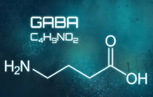GABA molecular structure
